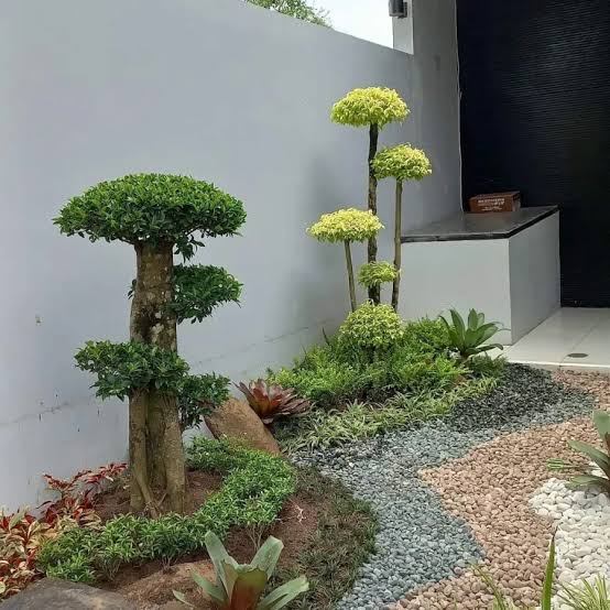 Hasil Pembuatan Taman 1